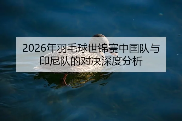 2026年羽毛球世锦赛中国队与印尼队的对决深度分析