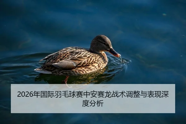 nian-guo-ji-yu-mao-qiu-sai-zhong-an-sai-long-zhan-shu-tiao-zheng-yu-biao-xian-shen-du-fen-xi-2-229.jpg